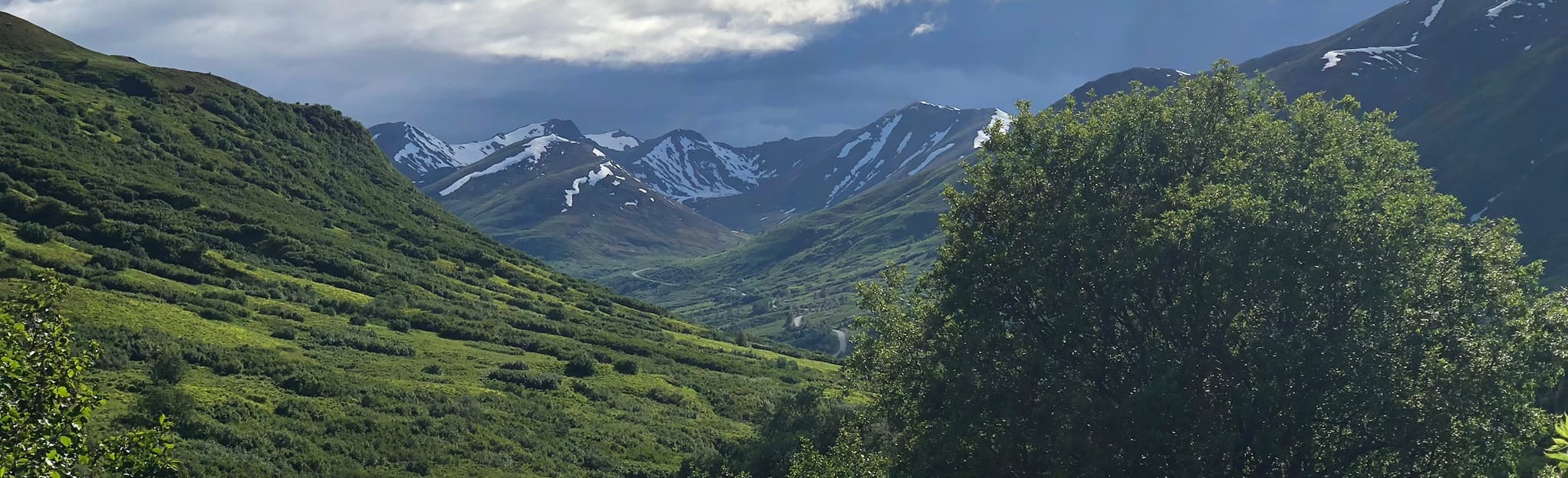 Gold Mint Trail and Reed Lakes Loop, Alaska 23 Reviews, Map AllTrails