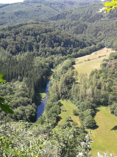 MTB Runde: Staudenhof und Wüstung Beifels