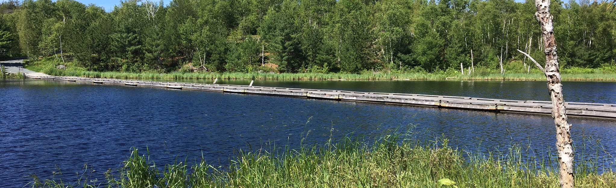 Perch Lake via Moonlight Beach Park , Ontario, Canada 78 Reviews, Map