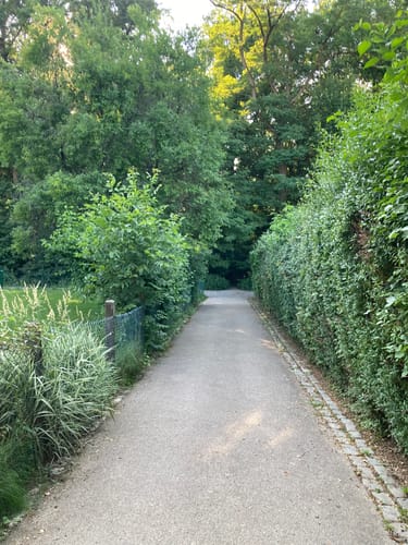 Lederberg Rundweg