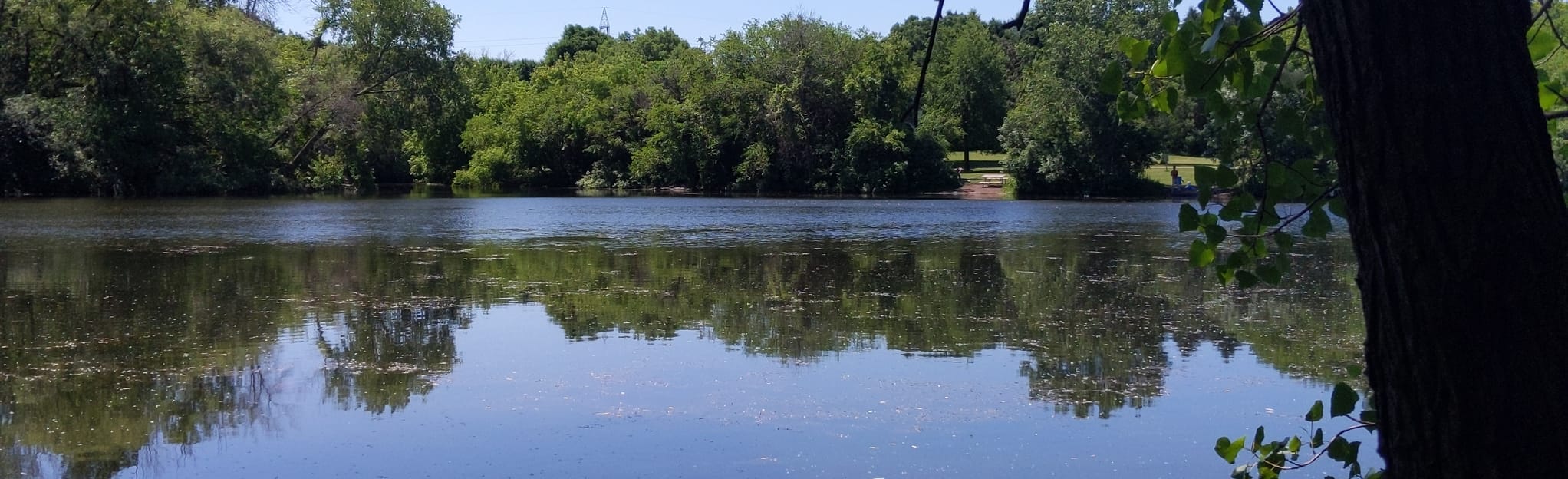 Wilson Park Lake Loop, Wisconsin 35 Reviews, Map AllTrails