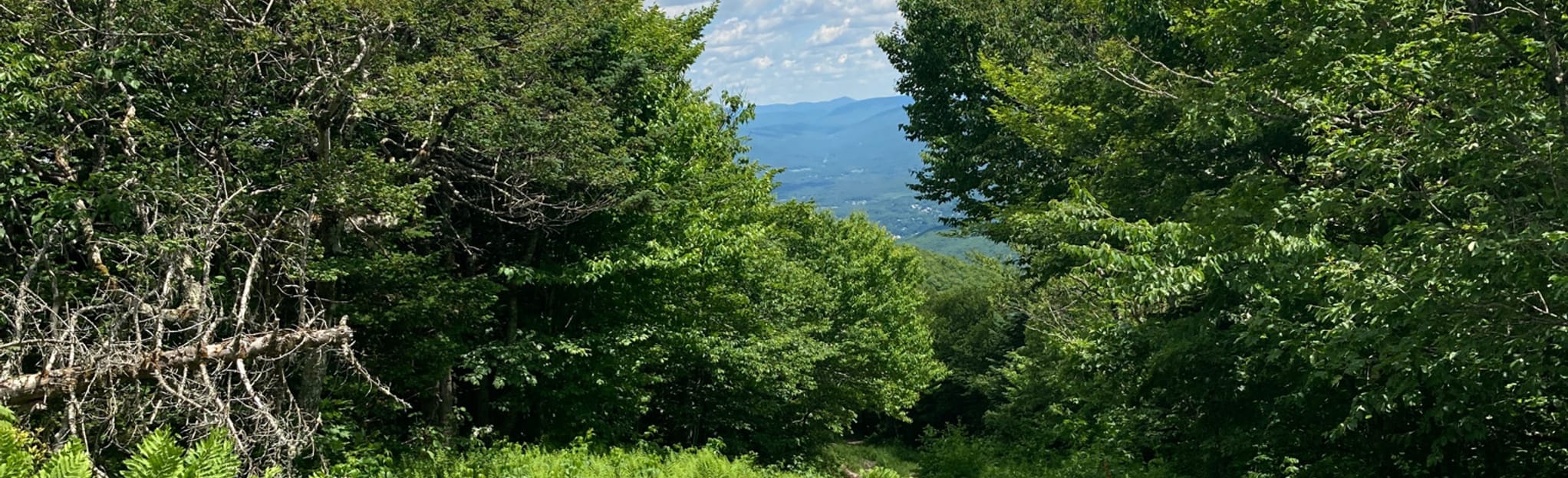 Bellows Pipe Loop Trail Massachusetts AllTrails