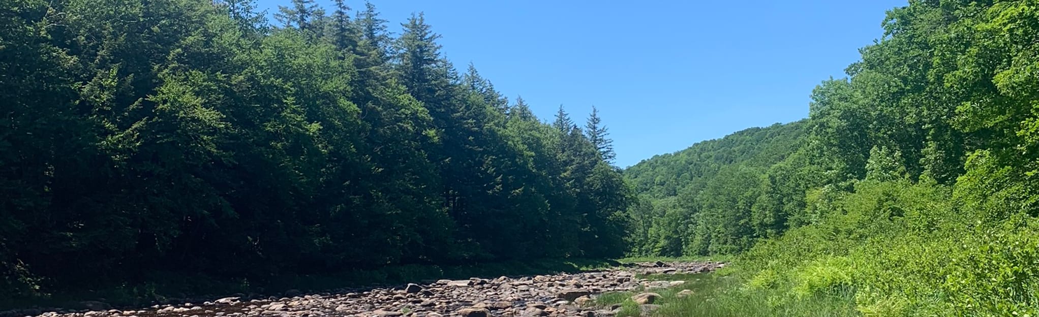 West Stony Creek from Benson Road, New York 72 Reviews, Map AllTrails