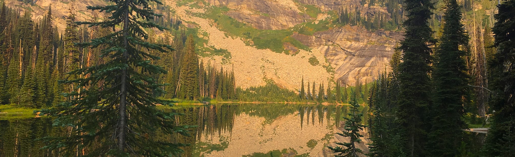 Spruce Lake Trail 3 Reviews, Map Idaho AllTrails