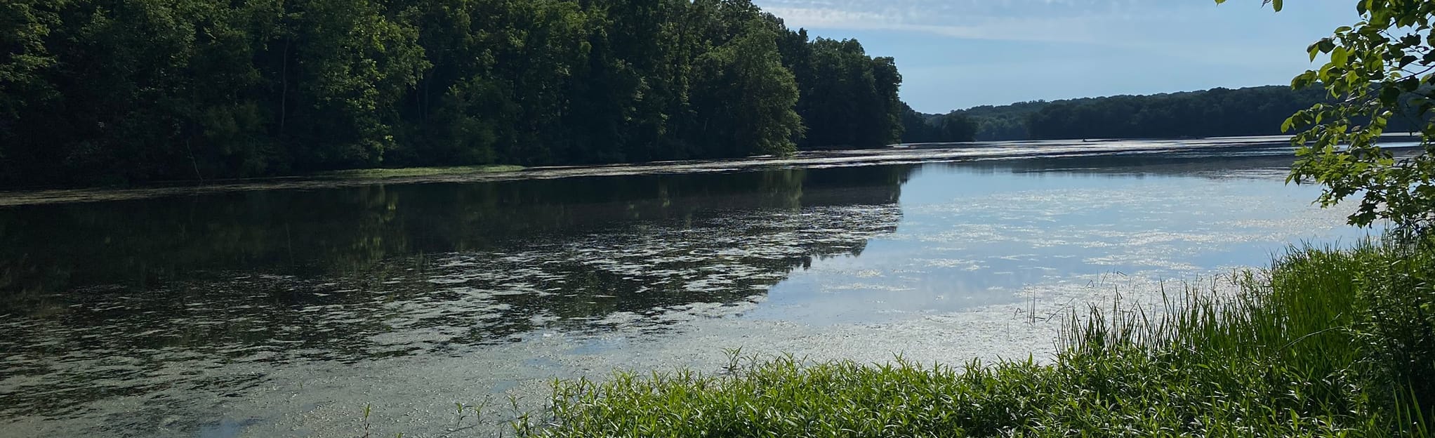 Lakeside, Ridge, Pinchot, Gravel, and Old Farm Trail Loop Map, Guide