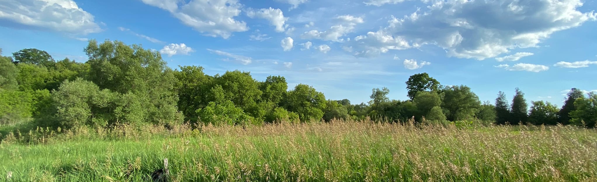 BowmanvilleNewcastle Waterfront Trail, Ontario, Canada 81 Reviews