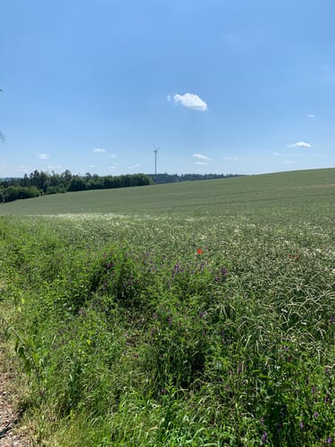 Schweinbach - Weihbüchl - Oberschönbach