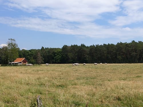 Isernhagen nach Fuhrberg