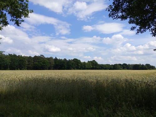 Isernhagen nach Fuhrberg