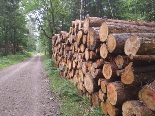 Isernhagen nach Fuhrberg