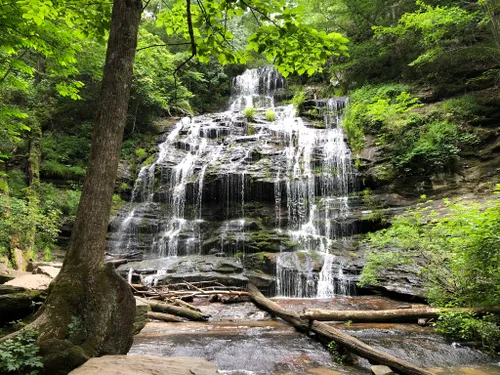 10 Best Waterfall Trails in Oconee State Park | AllTrails