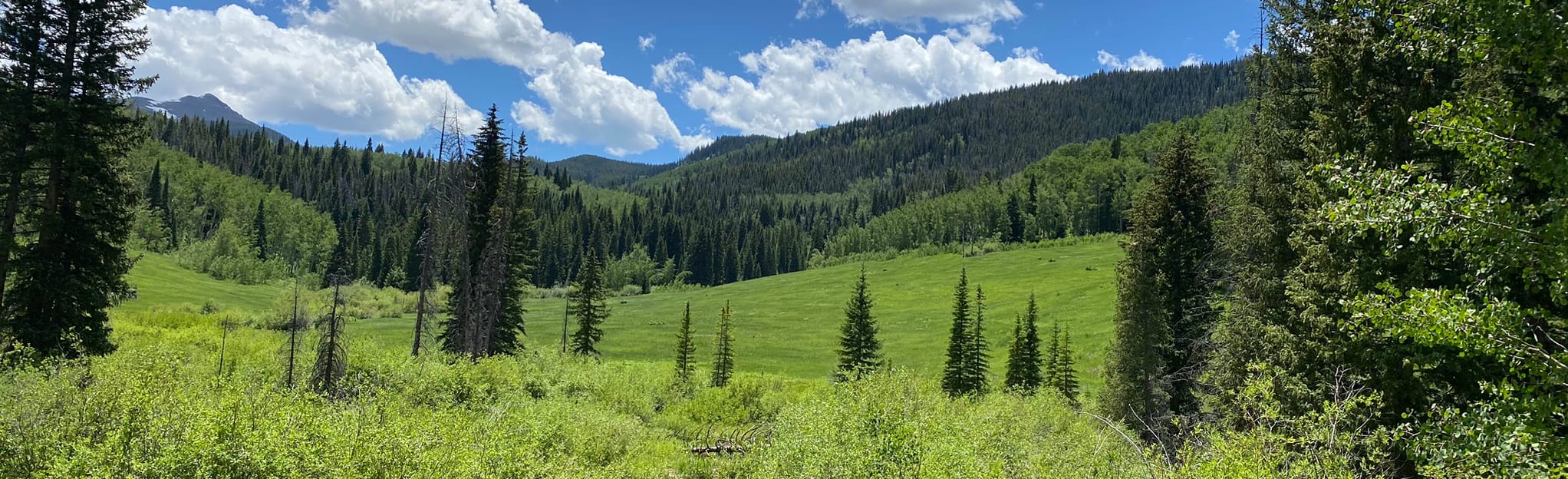 West Lake Creek Trail Map, Guide Colorado AllTrails