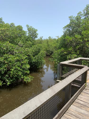 Best Hikes and Trails in Saint Lucie Inlet Preserve State Park | AllTrails
