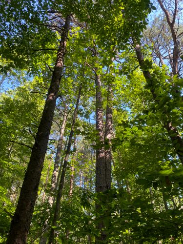 Best Hikes and Trails in Beaver Creek Reservoir Park | AllTrails