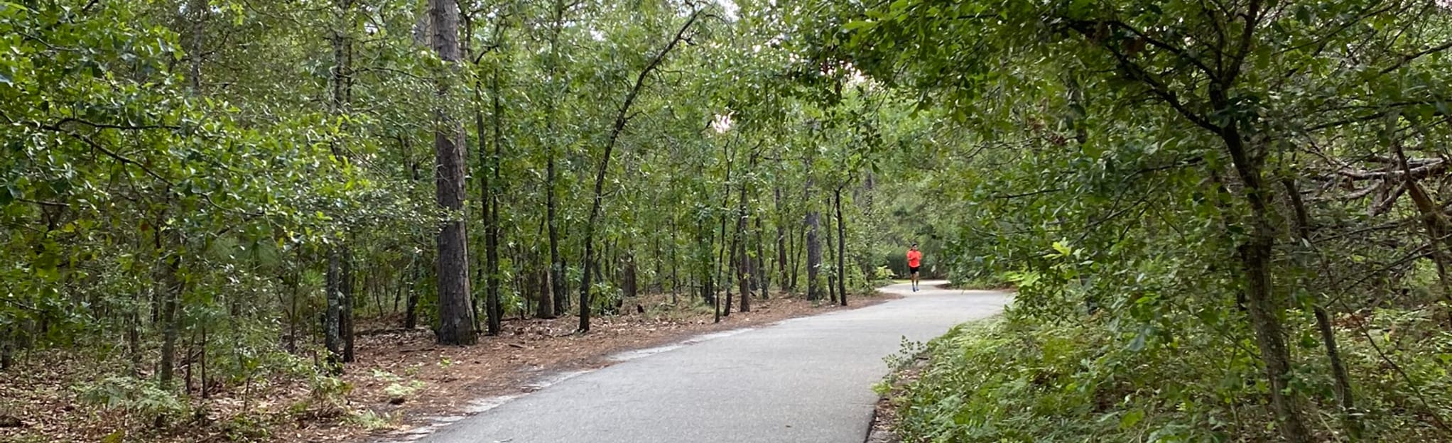 Halyburton Park Loop, North Carolina 289 Reviews, Map AllTrails