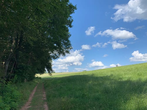 Teufelspfad (Premiumwanderweg)