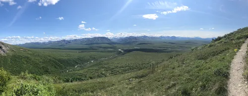 Denali national 2025 park trails