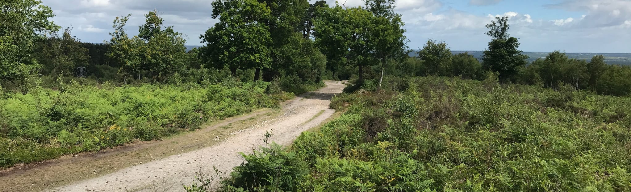 Hindhead, BW108 and Headley Down MTB, Hampshire, England 4 Reviews