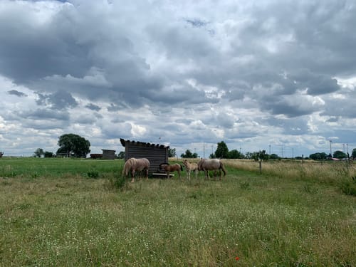 Garzau- Langer See - Zinndorf