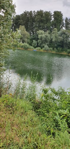 Renn zum Rhein
