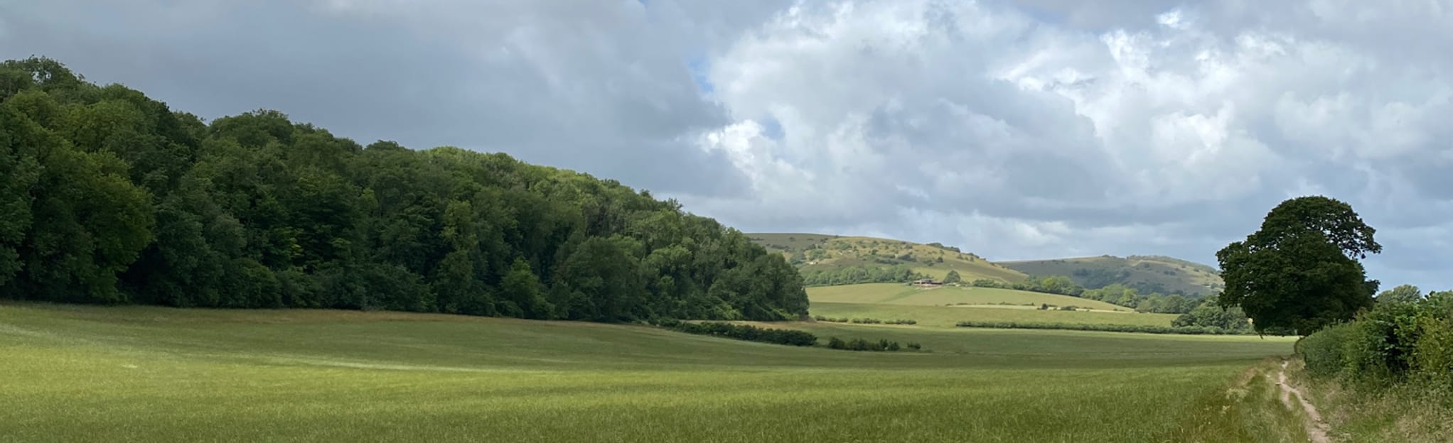 Sullington Warren, Sandgate Park and Storrington Circular, West Sussex