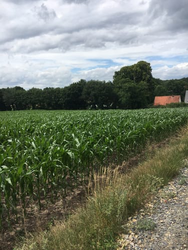 Hollager Rundwanderweg Nr.5