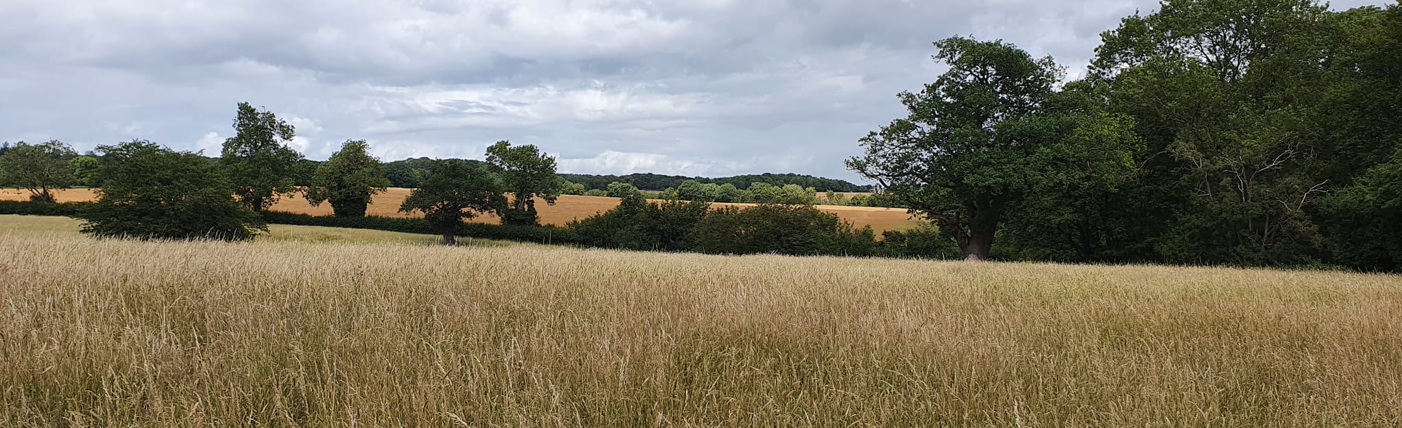 Wadesmill and Park Circular Walk 132 Photos Hertfordshire