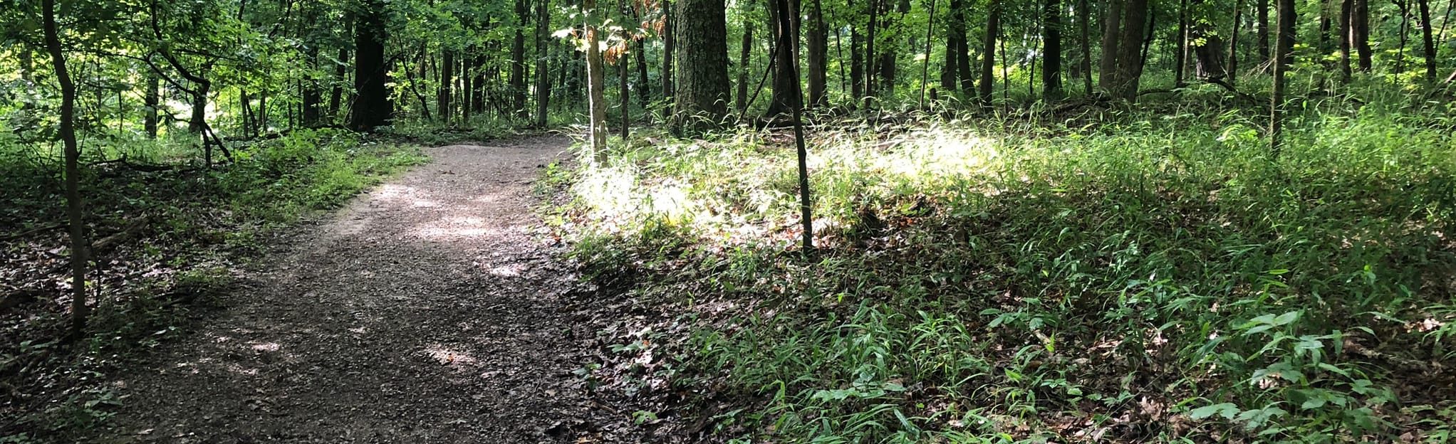 Rock Quarry Trail, Missouri 1,056 Reviews, Map AllTrails