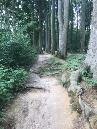 Baumberge und Hoheberg