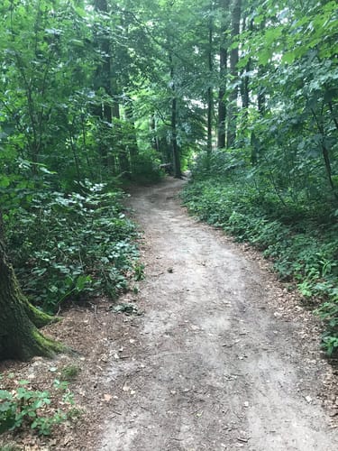 Baumberge und Hoheberg