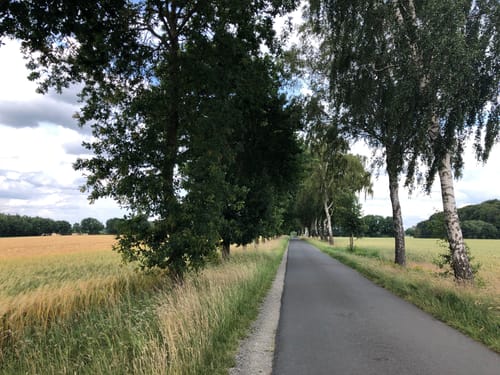 Kleinenknetener Steine