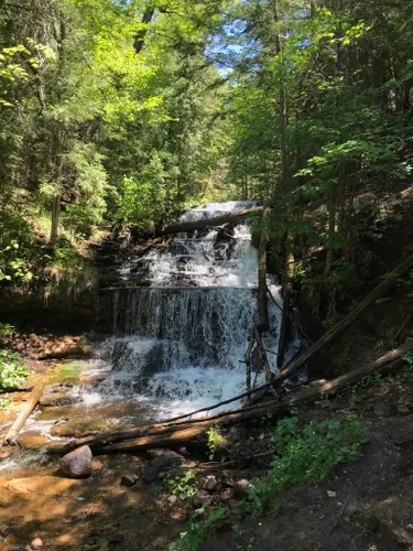 10 Best Trails and Hikes in Munising | AllTrails