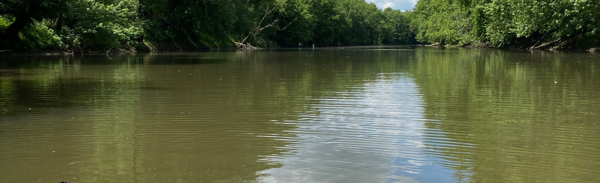 Conewango Creek Paddle Route 9 Reviews, Map Pennsylvania AllTrails