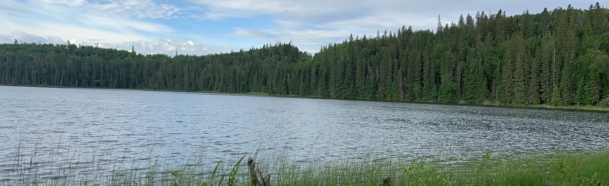 Spray Lake Trail Map, Guide Manitoba, Canada AllTrails