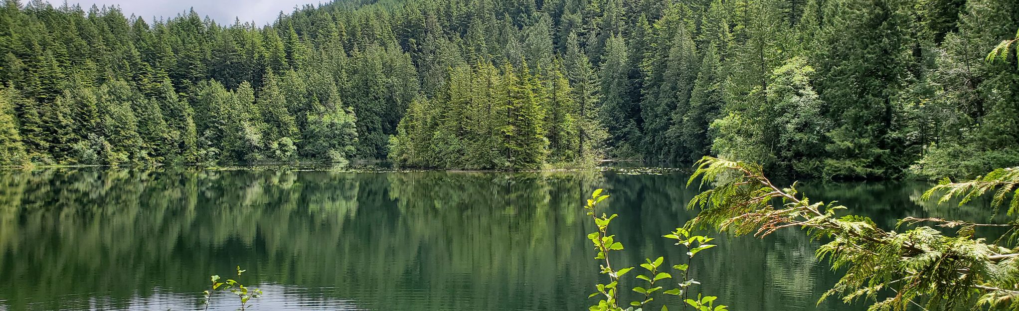 Chadsey Lake Trail Loop via Sumas Mountain Viewpoint, British Columbia ...