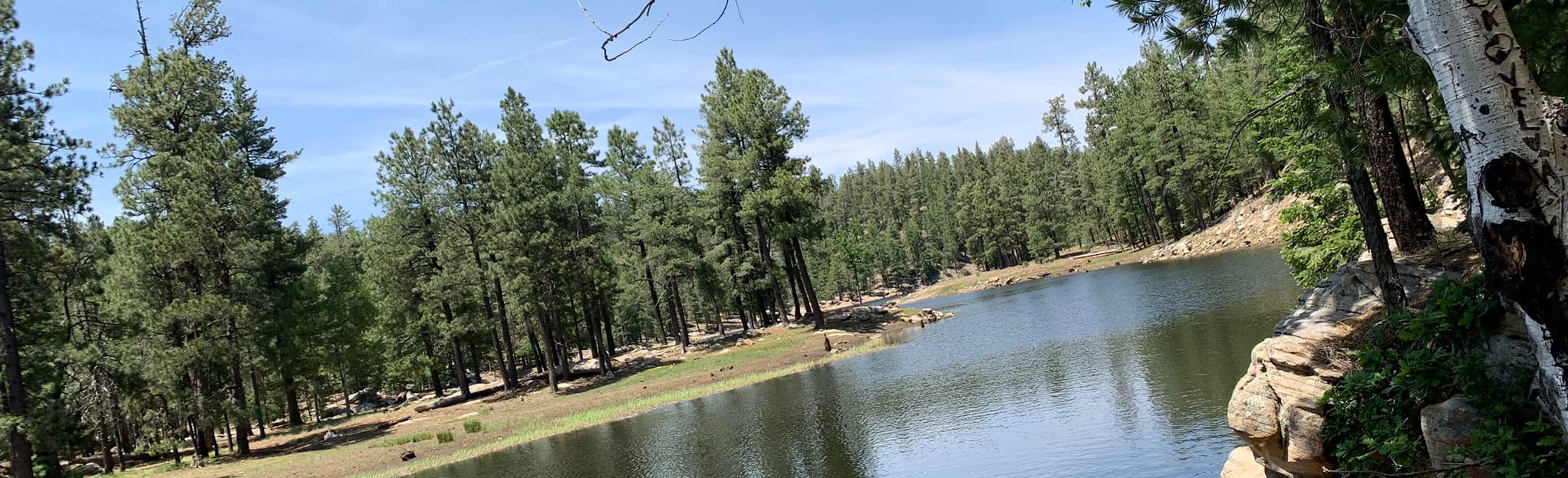 Fish Hatchery to Knoll Lake via Babe Haught Trail Map, Guide Arizona AllTrails