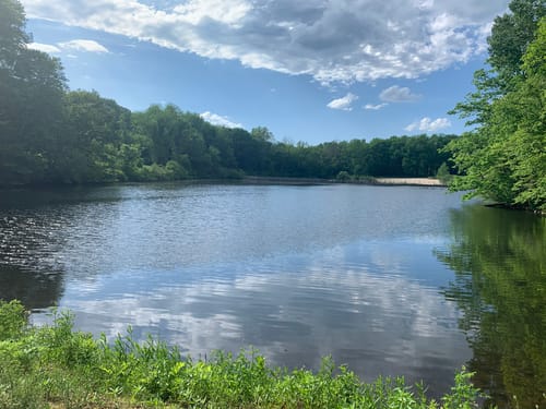 are dogs allowed at spruce valley reservoir nj