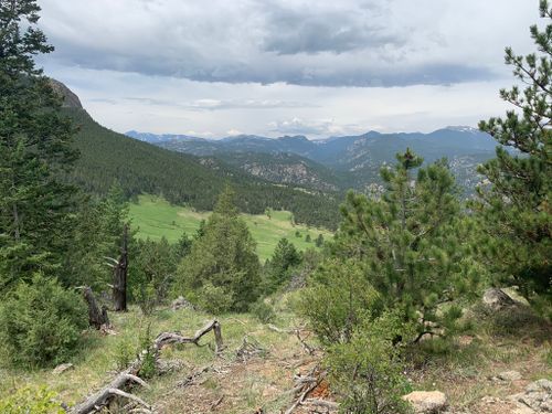 2023 Best 10 Dog Friendly Trails in Roosevelt National Forest | AllTrails