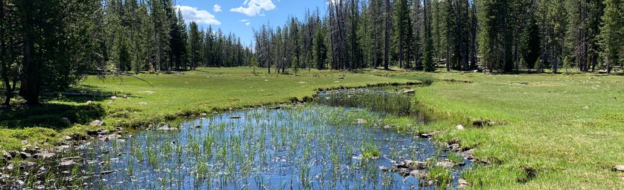 Four Lakes Basin via Hades Rocky Sea Pass Trail, Utah - 13 Reviews, Map ...