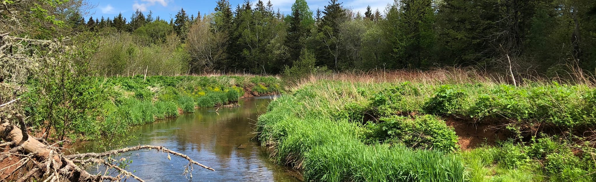 Breadalbane Nature Trail 118 Reviews, Map Prince Edward Island