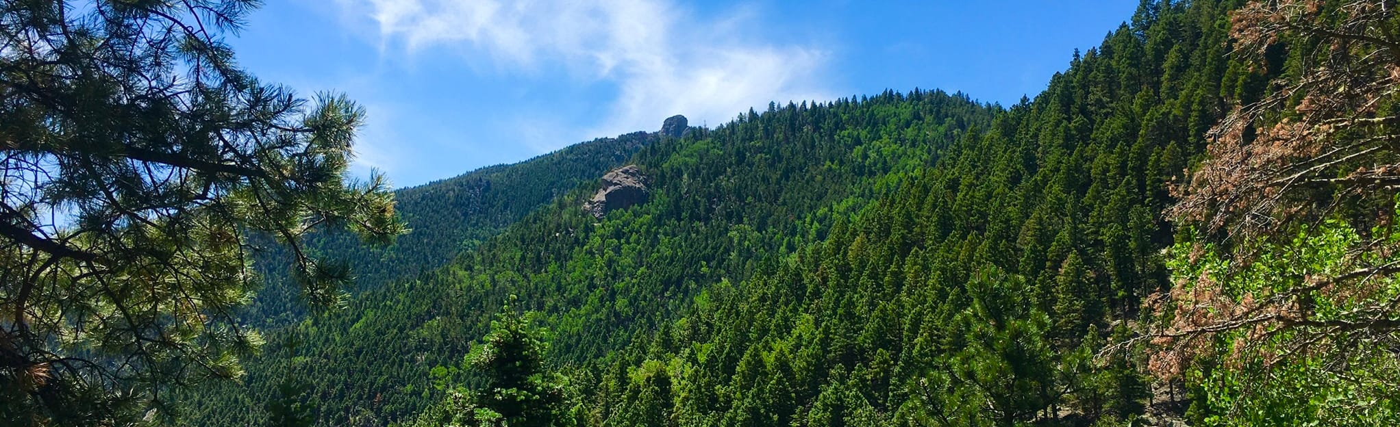 Escape to Greenhorn: Your Southern California Mountain Getaway