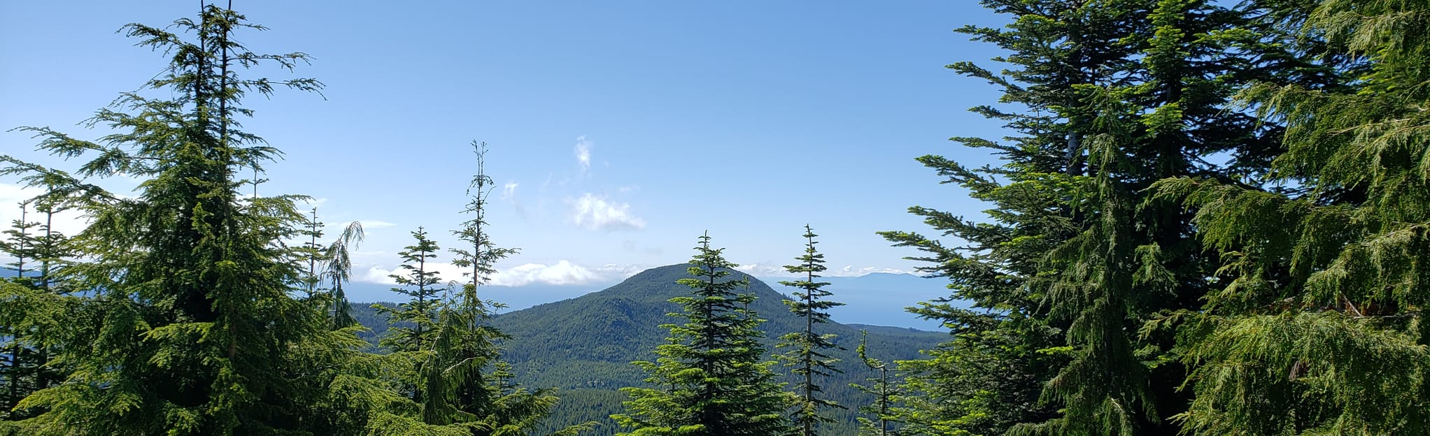 Halfmoon Bay Trail to Caren Peak 11 Reviews, Map British Columbia