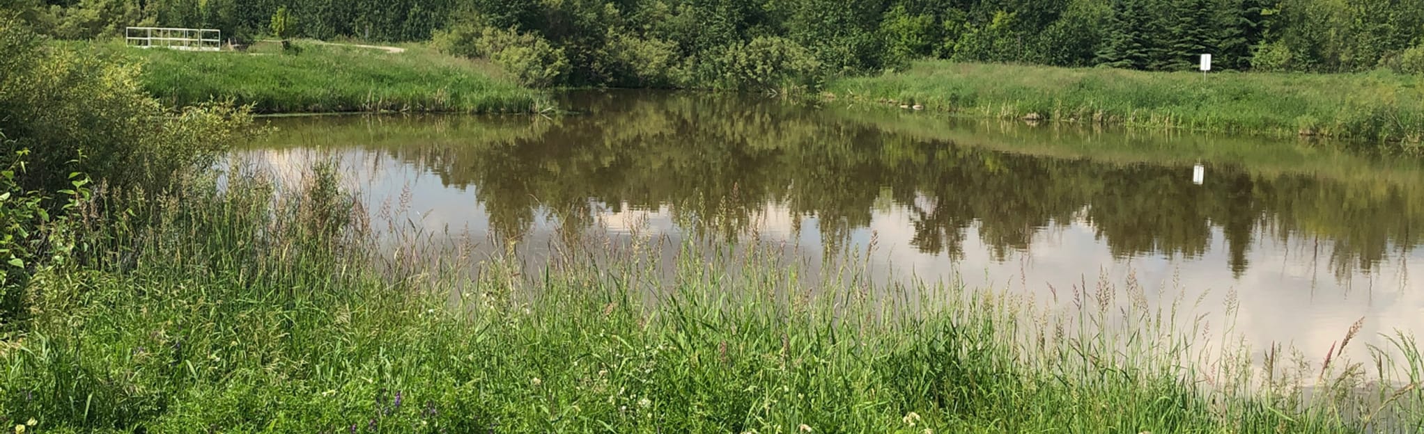 Pylypow Ponds Loop, Alberta, Canada 70 Reviews, Map AllTrails