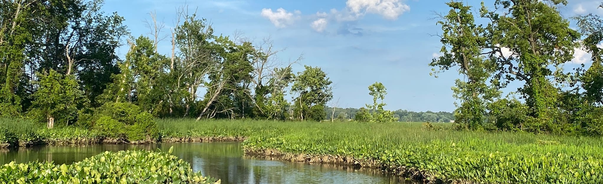 Mount Vernon Trail Virginia - EyJidWNrZXQiOiJhc3NldHMuYWxsdHJhaWxzLmNvbSIsImtleSI6InVwbG9hZHMvcGhvdG8vaW1hZ2UvMjczNzQ2NzYvYzM2OTdjODE3YmRiNTBjYjc1ODA2MjY1YmYwZWNlNDYuanBnIiwiZWRpdHMiOnsidG9Gb3JtYXQiOiJqcGVnIiwicmVzaXplIjp7IndpZHRoIjoyMDQ0LCJoZWlnaHQiOjYyNCwiZml0IjoiY292ZXIifSwicm90YXRlIjpudWxsLCJqcGVnIjp7InRyZWxsaXNRdWFudGlzYXRpb24iOnRydWUsIm92ZXJzaG9vdERlcmluZ2luZyI6dHJ1ZSwib3B0aW1pc2VTY2FucyI6dHJ1ZSwicXVhbnRpc2F0aW9uVGFibGUiOjN9fX0=