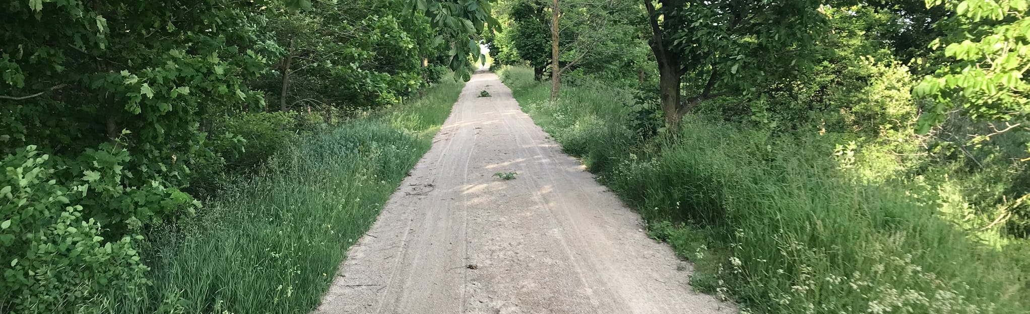 G2G Rail Trail Monkton to Millbank, Ontario, Canada 48 Reviews, Map