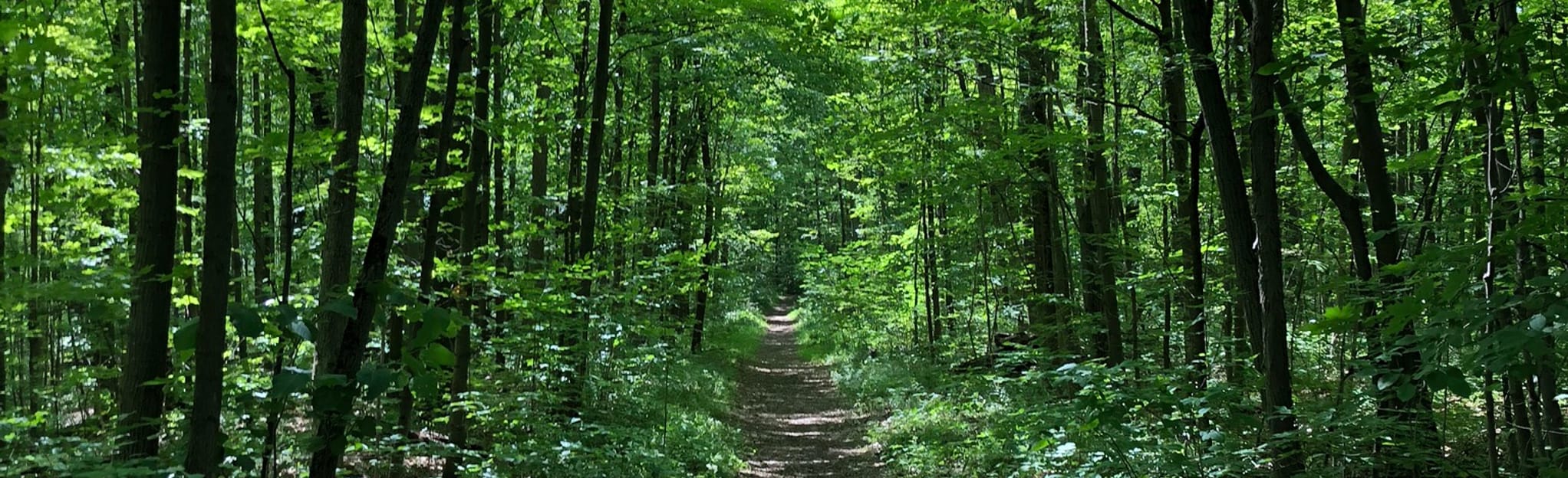 Old Waterdown Road 96 Reviews, Map Ontario, Canada AllTrails