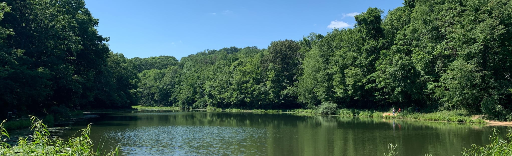 Deer Lakes Purple and White Trail Loop , Pennsylvania 126 Reviews