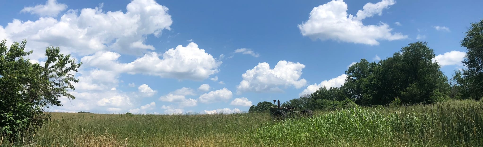 East Branch and Tulip Poplar Trail Loop, Maryland 275 Reviews, Map