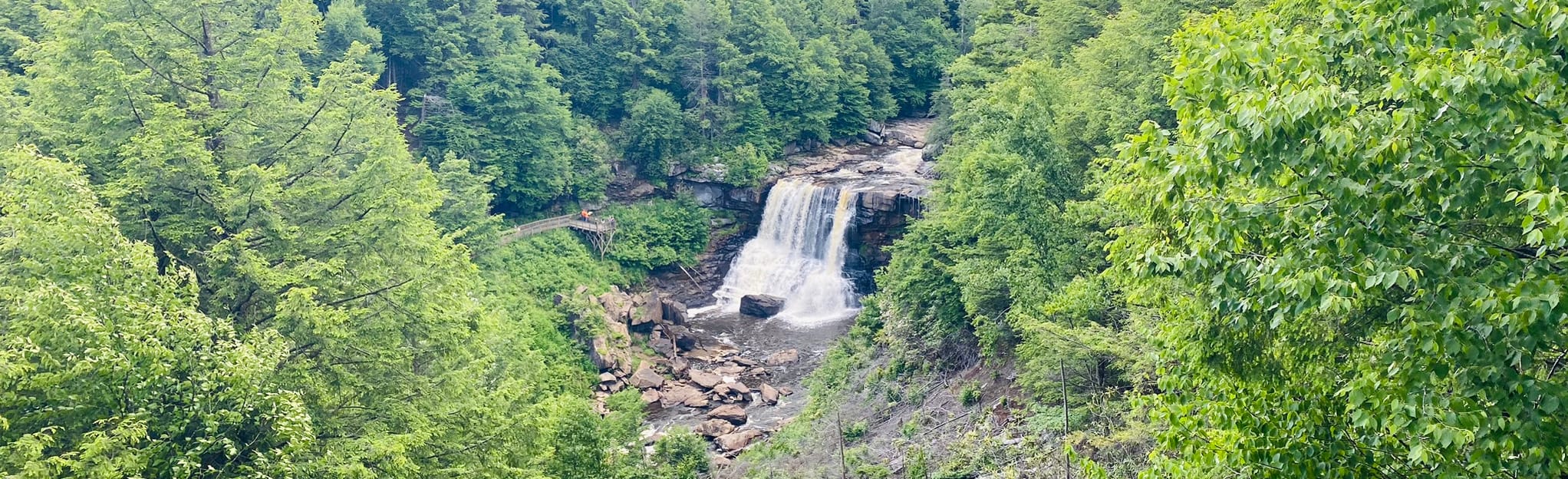 Blackwater Falls Overlook 146 Reviews, Map West Virginia AllTrails