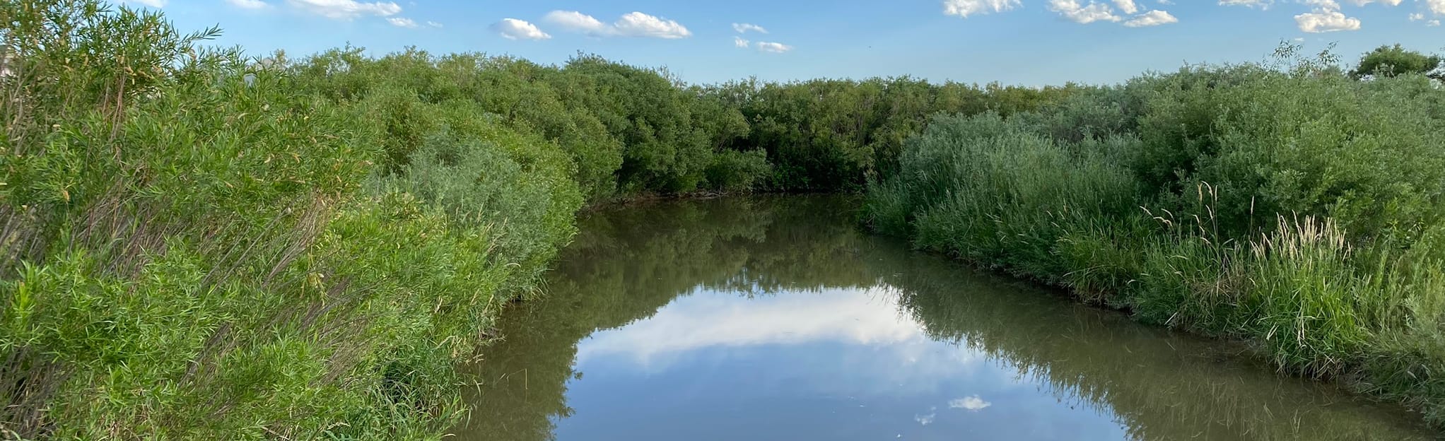 Coal Creek Trail 88 Reviews, Map Colorado AllTrails